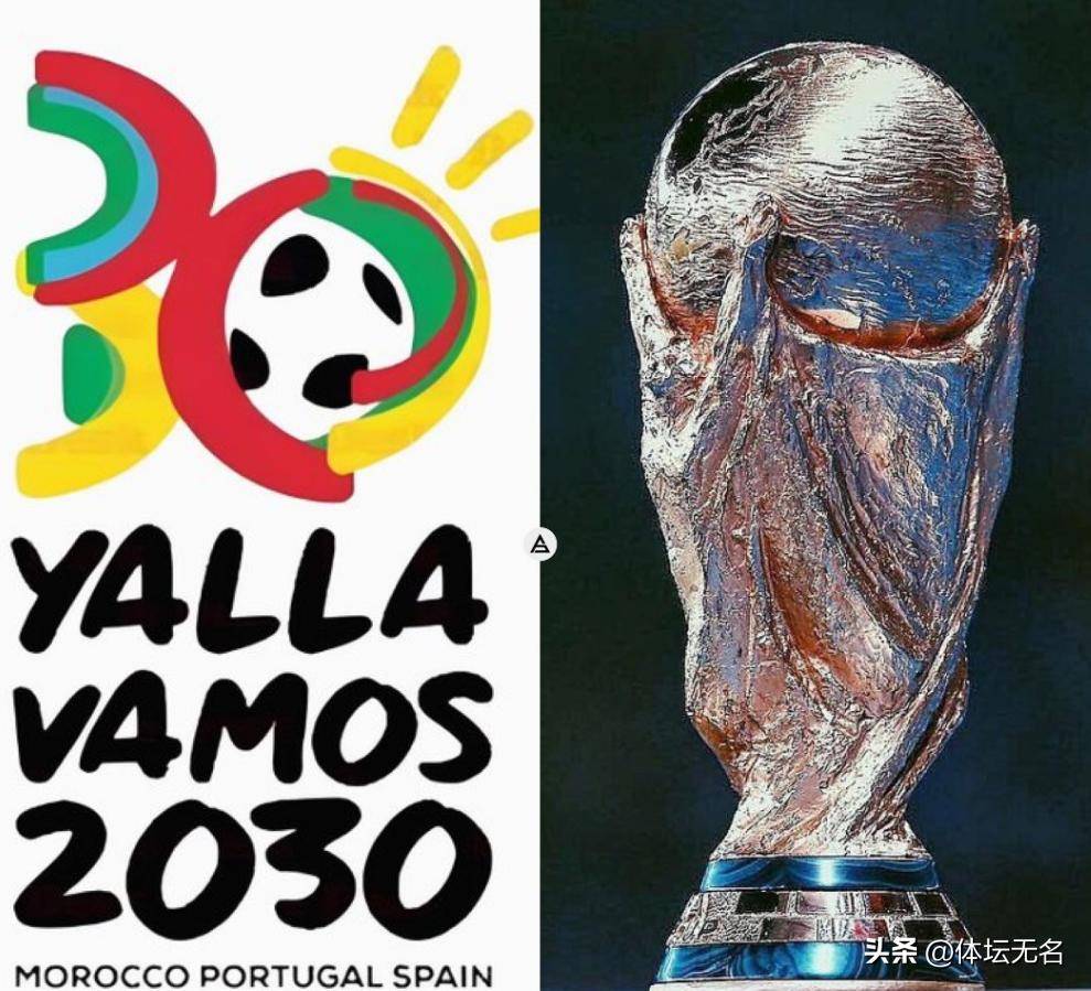 其中包括 其中包括